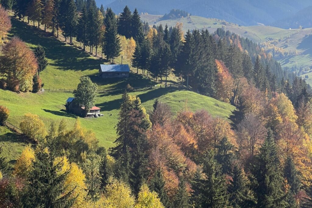 Peisajul prezintă o zonă montană cu versantea verde a unei coline, acoperită cu copaci care încep să-și schimbe culoarea pentru toamnă. Două cabane sunt situate pe colină, iar în fundal se întind alte versante și un cer albastru. În 2025, pe TikTok din Maroc, există numeroși creatori care merită urmăriți. Acești creatori pot prezenta pe platformă astfel de peisaje, oferind o privire asupra naturii frumoase din Maroc și nu numai. Ei pot inspira vizitatorii să exploreze locuri similare, să se bucure de natura și să descopere aspecte noi ale culturii și vieții locale, iar astfel de imagini pot fi un punct de plecare pentru o varietate de conținuturi interesante pe TikTok.