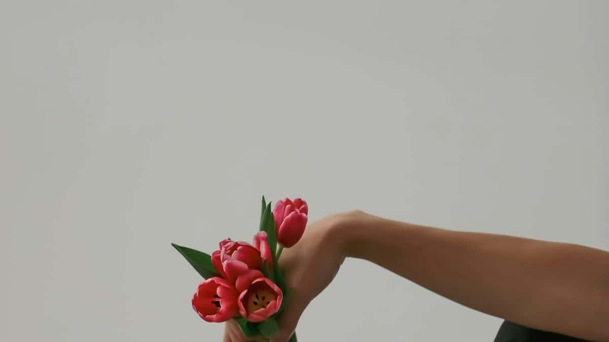 Cum pot influencerii TikTok din Romania colabora cu branduri din Japonia