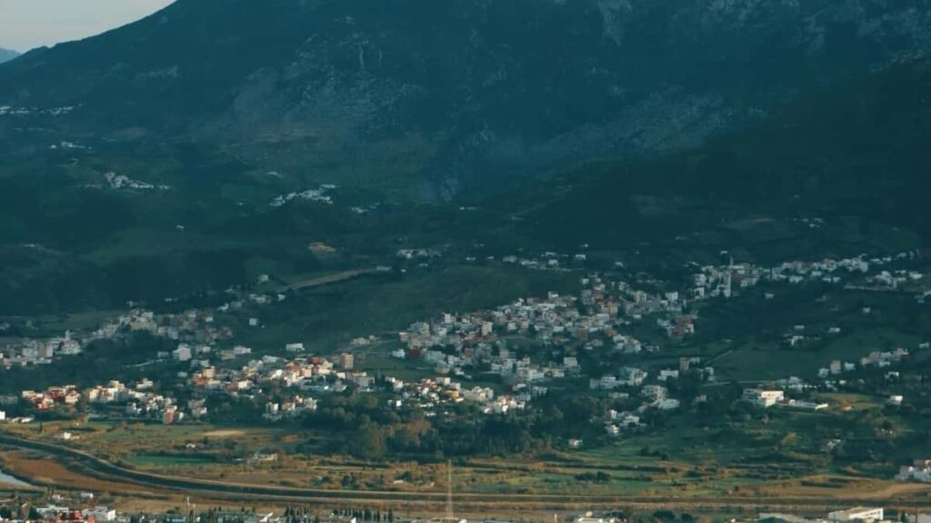 Cum pot influencerii TikTok din Romania colabora cu branduri din Italia