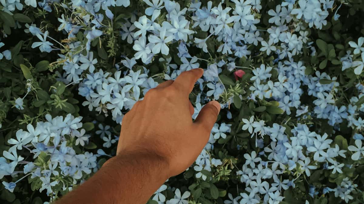 Advertiseri: găsiți creatori Rumble estonieni pentru beauty
