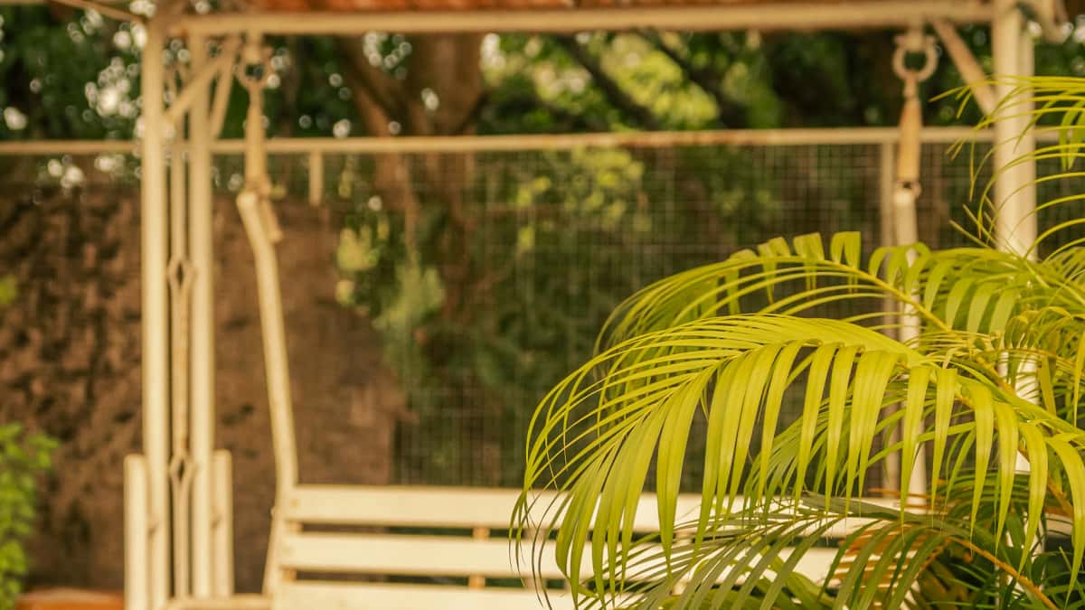Cum găsești creatori Ivory Coast pe Clubhouse pentru fani muzicii?