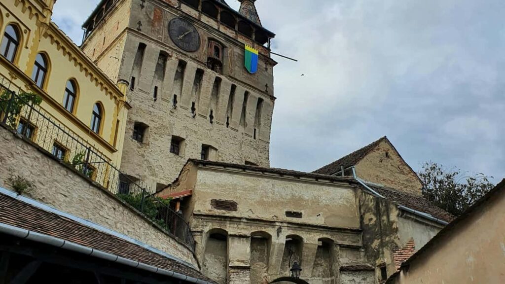 Ghid practic pentru advertiserii din Romania: cum gasesti creatori din Costa Rica pe Twitter, cum selectezi pe cei potriviti si cum transformi urmaritorii in cumparatori.