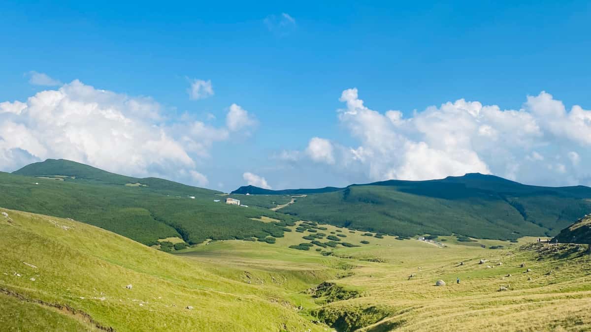 Creatori RO care vor branduri Armenia pe Spotify — cum să-i abordezi