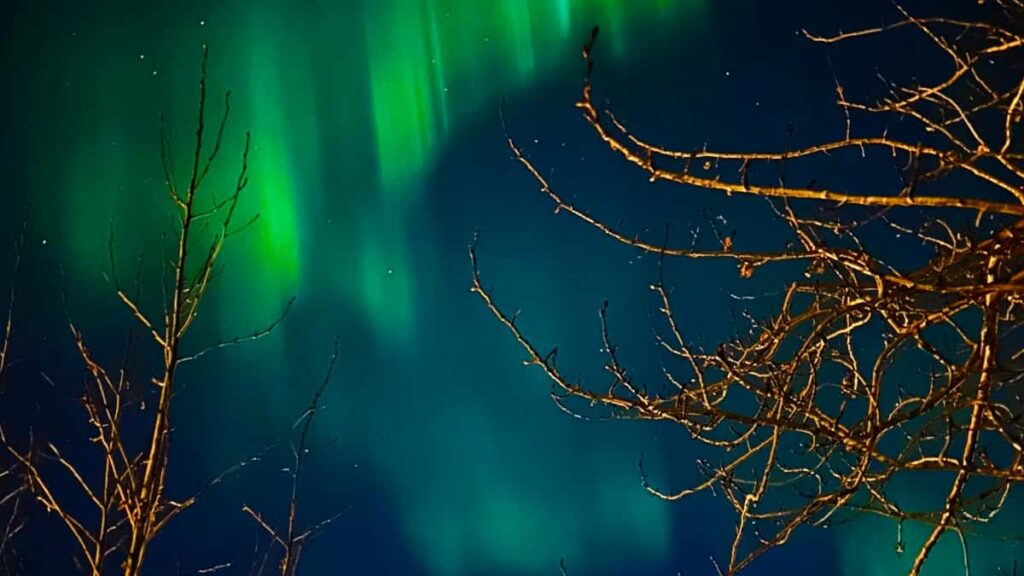 Ghid practic pentru creatori romani: pasi tactici, mesaje gata de folosit si strategii locale ca sa obtii colaborari cu branduri din Laos pe Twitter.