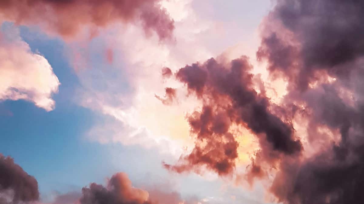 Advertiser român: găsește creatori HBO Max Spania pentru campanii sustenabile