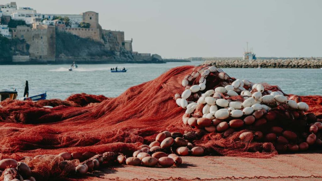 Ghid practic pentru creatori din Romania: strategii, canale si pasi concreti ca sa ajungi la branduri din Muntenegru pe Taobao si sa distribui coduri de reducere limitate.