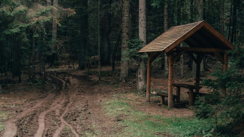 Ghid practic pentru creatori din Romania care vor sa colaboreze cu branduri din Africa de Sud pe TikTok tactici, exemple reale si pasi concreti.