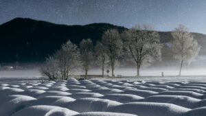 Ghid practic pentru advertiserii din Romania: cum identifici, verifici si colaborezi cu creatori Vietnam care promoveaza Disney Plus prin provocari de dans.