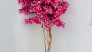 Ghid practic pentru branduri de healthy lifestyle din Romania: cum gasesti creatori Pinterest relevanti, criterii, outreach si campanii care convertesc.