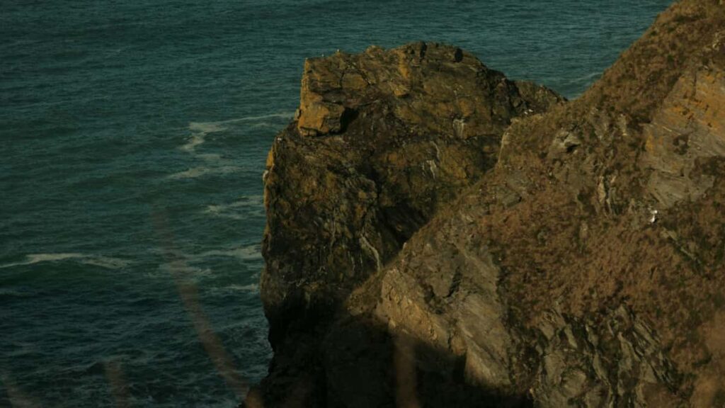 Ghid practic pentru creatori din Romania: cum identifici si abordezi branduri din Germania pe Amazon ca sa promovezi piese in challenges. Tactici reale, canale, si pasi concreti.