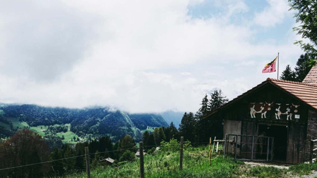 Ghid practic pentru creatorii din Romania: strategii, abordari si tactici dovedite ca sa atragi branduri germane pe Josh pentru streamuri sponsorizate de gaming.