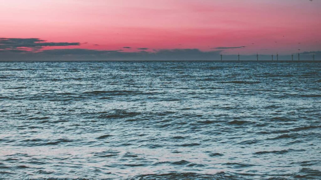 Pasi practici pentru creatorii romani care vor colaborari cu branduri turce pe Line: cum sa abordezi, ce sa urmaresti, exemple reale si tactici de reputatie.