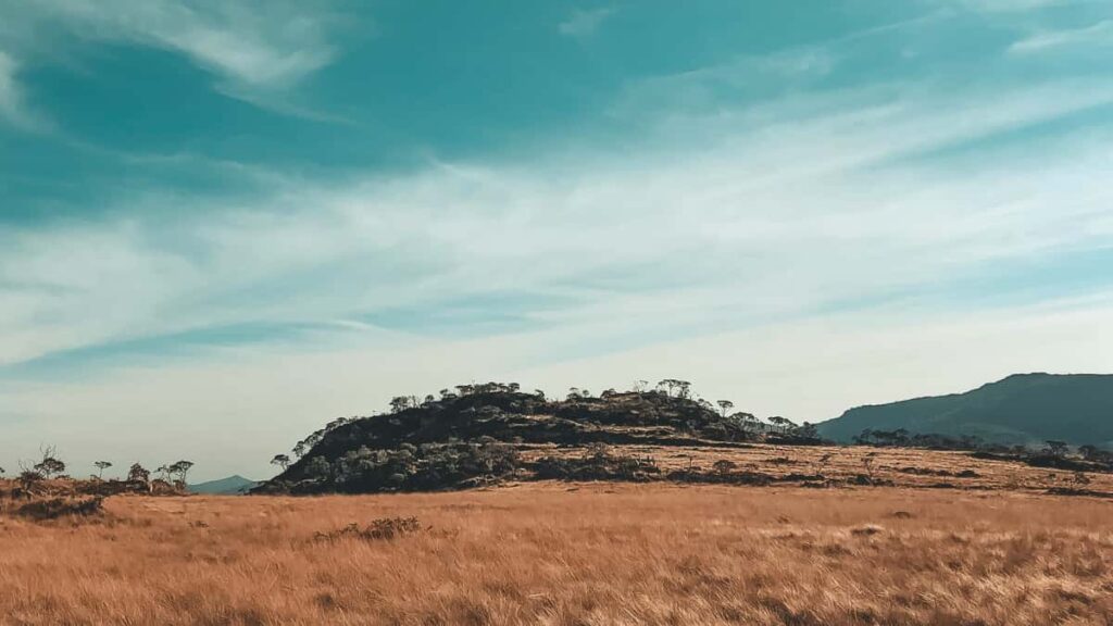 Ghid practic pentru branduri din Romania care vor sa gaseasca creatori pe Threads din Slovacia si sa lanseze co-branded product drops tactici, platforme, bugete si pasi concreti.