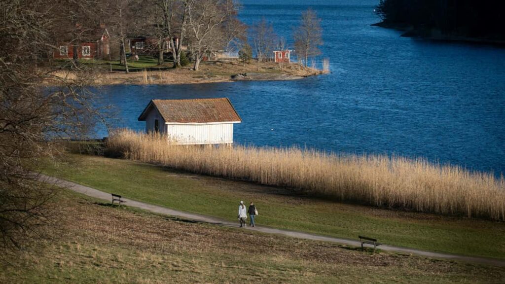 Ghid practic pentru agentii si operatori de turism din Romania: cum gasesti creatori Douyin din Noua Zeelanda pentru promovarea tururilor locale, cu pasi concreti, exemple si strategii de colaborare.