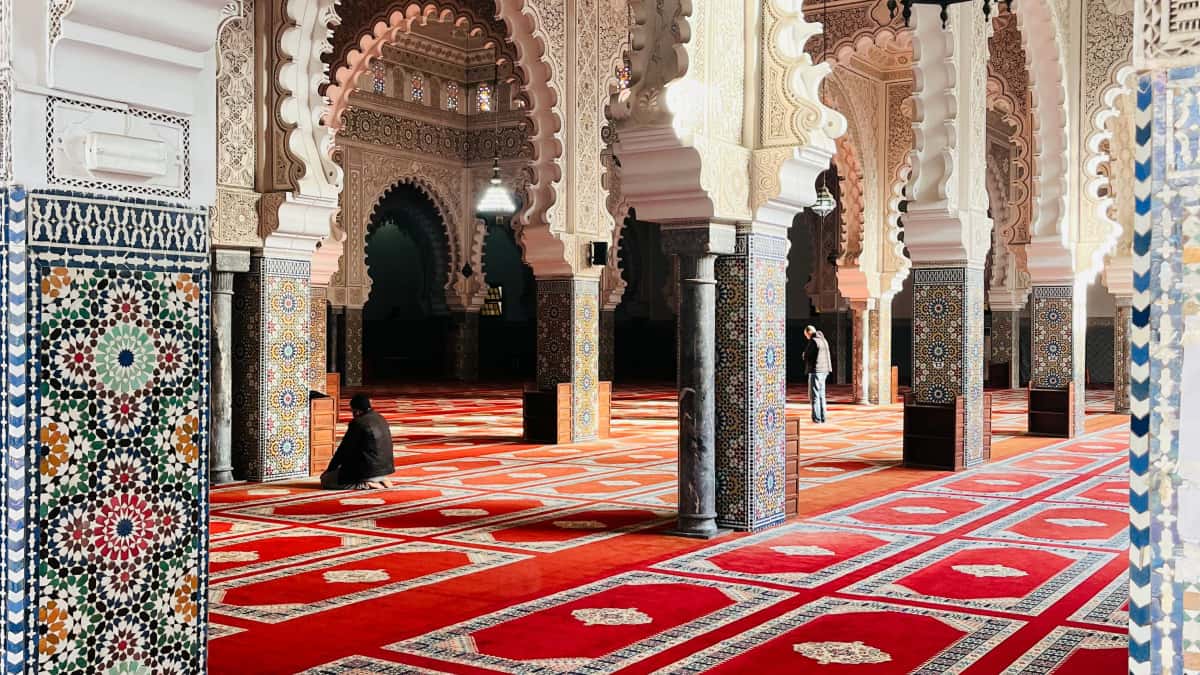 Advertiser român: găsește creatori Snapchat din Iran rapid